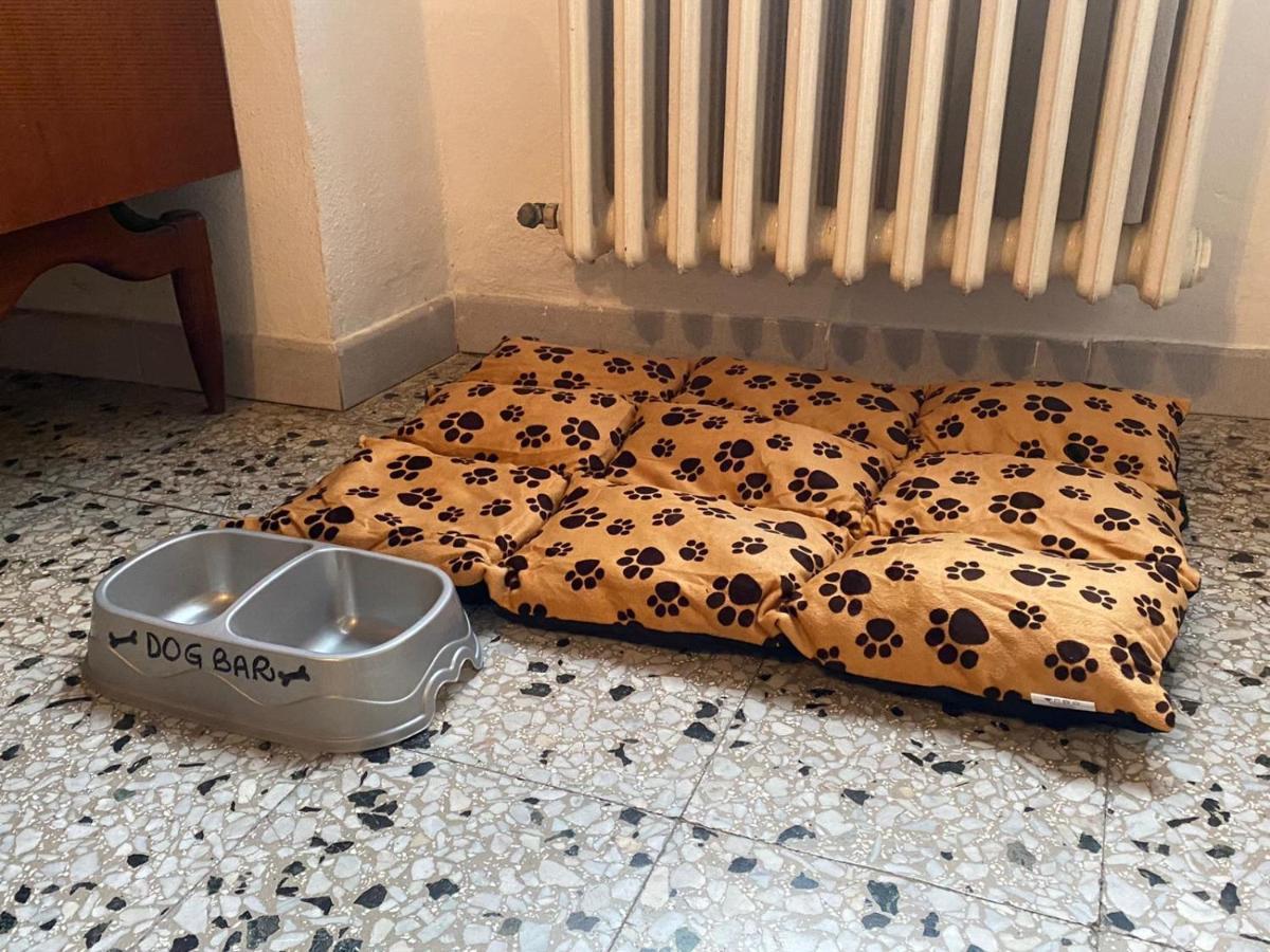 Casa Vacanze Beppina Кортона Екстер'єр фото